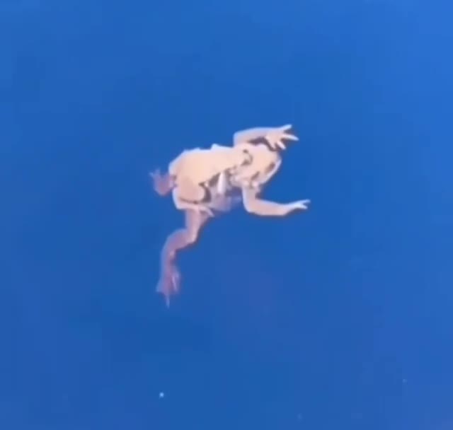 we