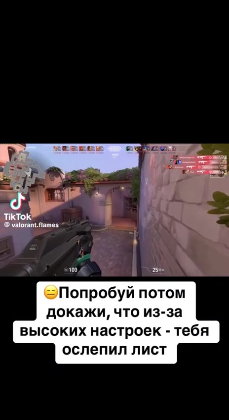 ЭПопробуй потом докажи, что из-за высоких настроек - тебя ослепил лист @ valorant.flames 0 <