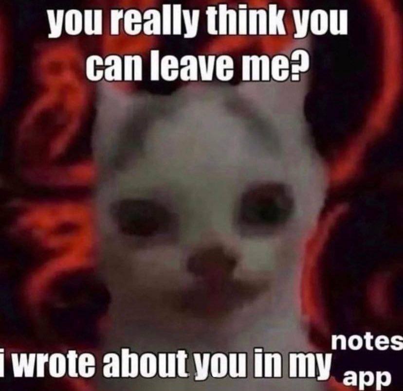 you really think you can leave me? wrote about you in app