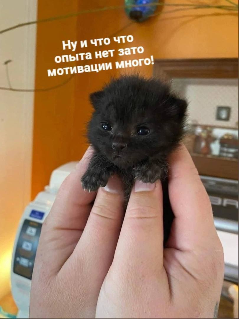 что что нуи опыта нет зато ного мотиваци 4"