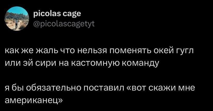 picolas cage @picolascagetyt как же жаль что нельзя поменять окей гугл или сири на кастомную команду я бы обязательно поставил «вот скажи мне американец»