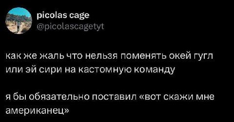 picolas cage @picolascagetyt как же жаль что нельзя поменять окей гугл или сири на кастомную команду я бы обязательно поставил «вот скажи мне американец»