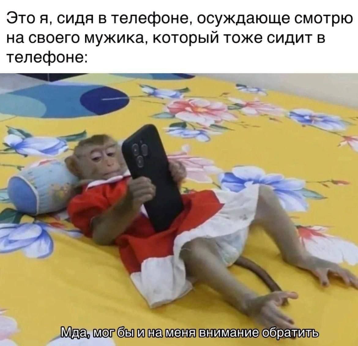 Это я, сидя в телефоне, осуждающе смотрю на своего мужика, который тоже сидит в телефоне: Mor бы и на меня внимание обратить
