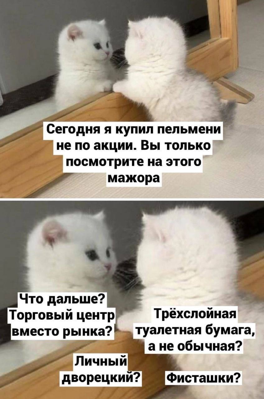 Сегодня я купил пельмени не по акции. Вы посмотрите на этого мажора Что дальше? центр Трёхслойная! туалетная бумага, вместо нка? ане обычная? Личный дворецкии? Фисташки?