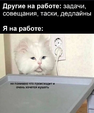 Другие на работе: задачи, совещания, таски, дедлайны Я на работе: не понимаю что происходит и очень хочется кушать