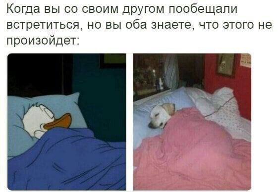Когда вы своим другом пообещали встретиться, но вы оба знаете, что этого не произойдет: