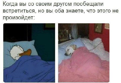 Когда вы своим другом пообещали встретиться, но вы оба знаете, что этого не произойдет: