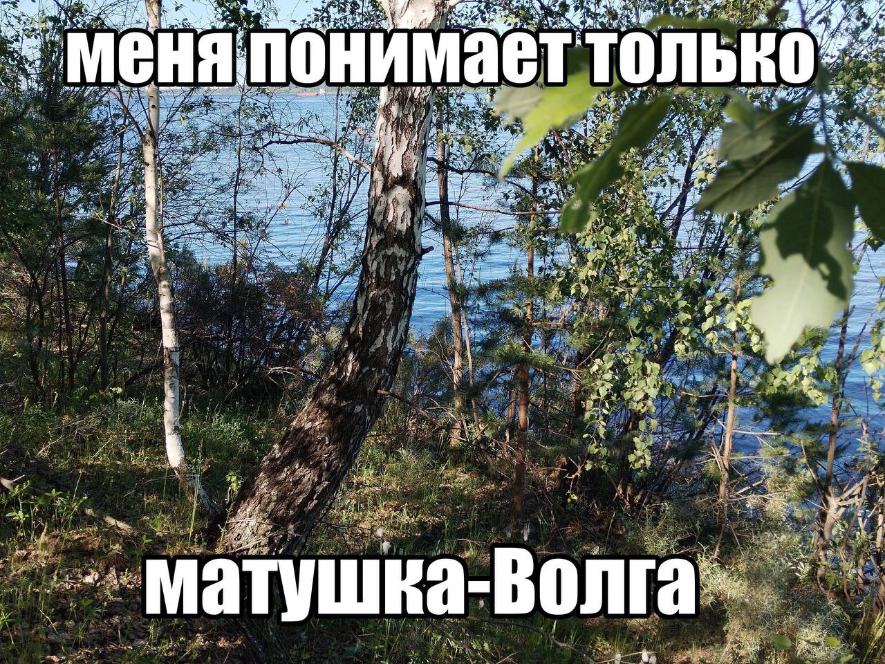 Avg МЕНЯ понимает только 38 we 7: матушка Волга