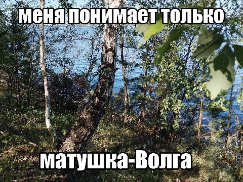 Avg МЕНЯ понимает только 38 we 7: матушка Волга