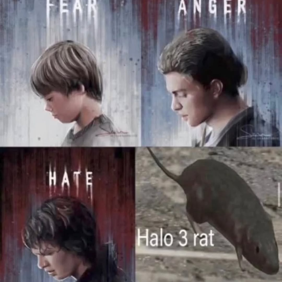 НАТЕ Цао 3 rat