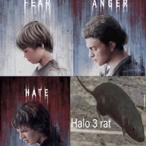 НАТЕ Цао 3 rat