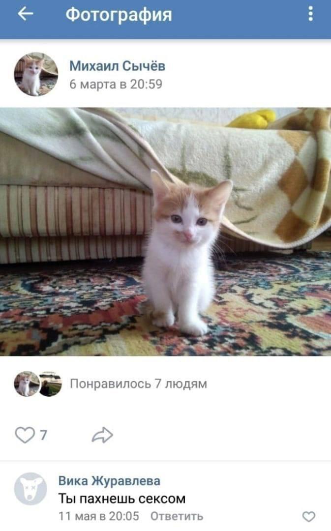 Фотография Михаил Сычёв 6 марта в 20:59 wed Понравилось 7 людям Вика Журавлева Ты пахнешь сексом 11 мая в 20:05 Ответить