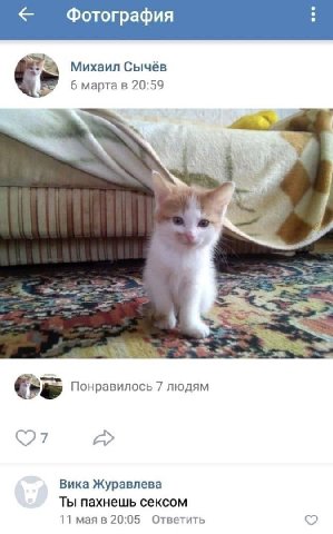 Фотография Михаил Сычёв 6 марта в 20:59 wed Понравилось 7 людям Вика Журавлева Ты пахнешь сексом 11 мая в 20:05 Ответить