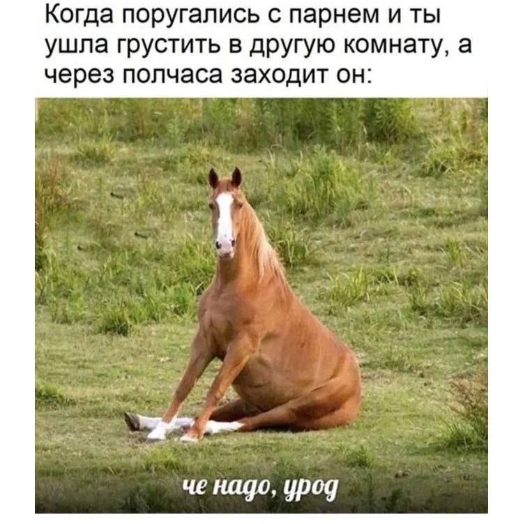 Когда поругались с парнем и ты ушла грустить в другую комнату, а через полчаса заходит он: че надо, урод