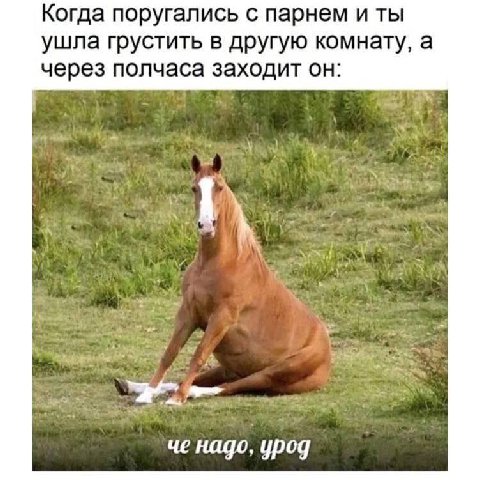 Когда поругались с парнем и ты ушла грустить в другую комнату, а через полчаса заходит он: че надо, урод