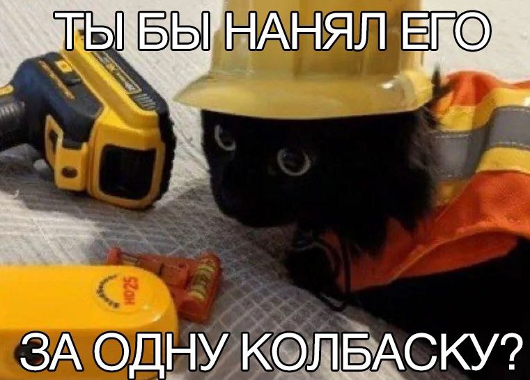 ЗА ОДНУ КОЛБАСКУ?