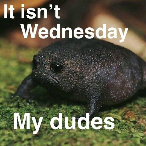 Wednesday My dudes