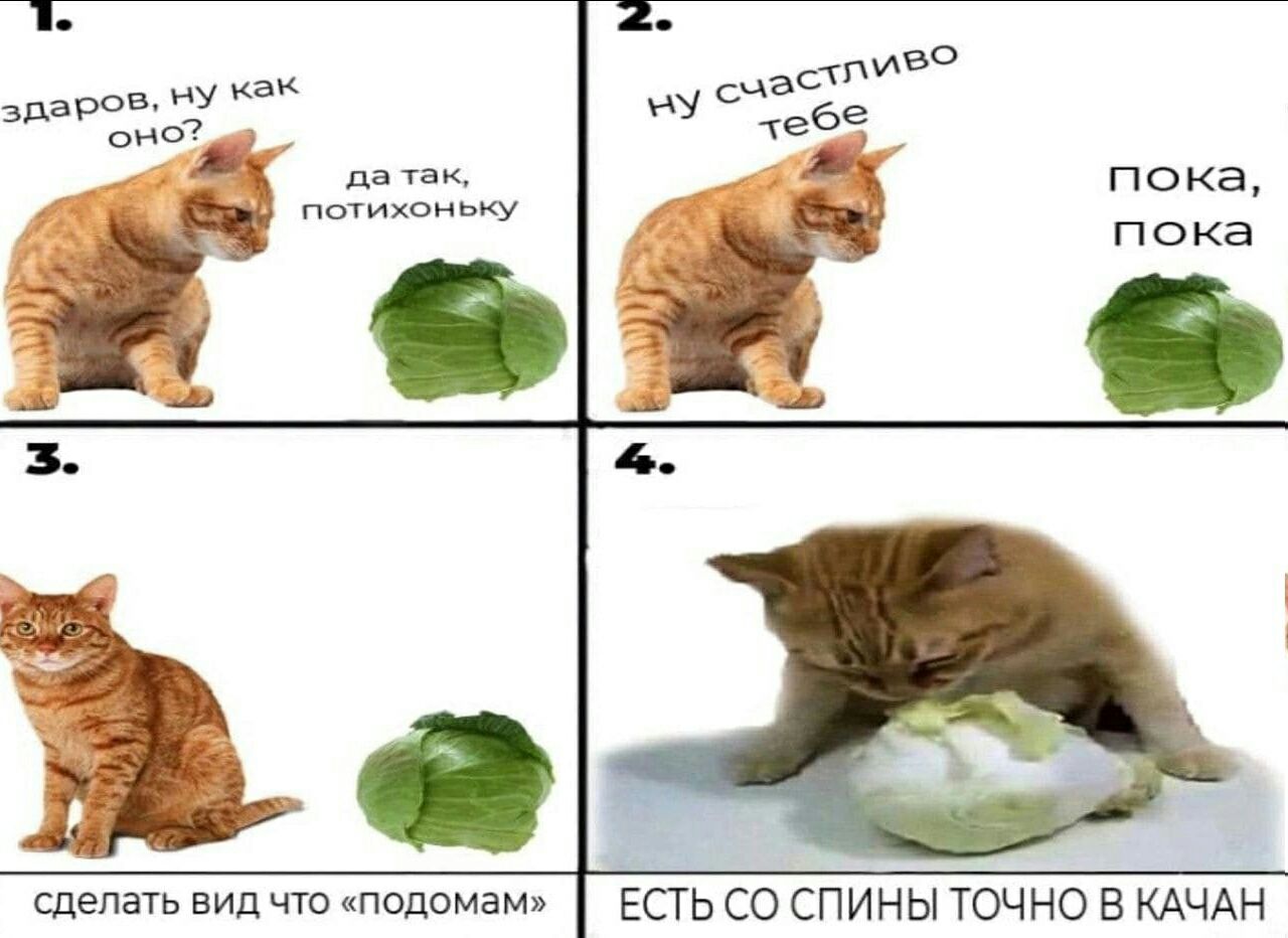 здаров, НУ как оно? пока, потихоньку foxy пока 3. сделать вид что «подомам» ЕСТЬ СПИНЫ ТОЧНО В КАЧАН