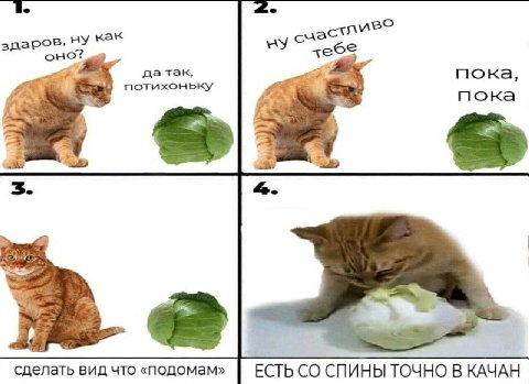 здаров, НУ как оно? пока, потихоньку foxy пока 3. сделать вид что «подомам» ЕСТЬ СПИНЫ ТОЧНО В КАЧАН