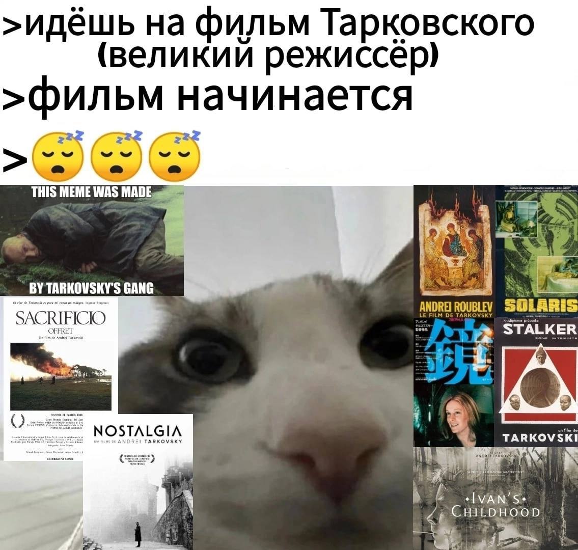 >идёшь на фильм Тарковского (великии режиссер) >фильм начинается THIS MEME WAS К TARKOVSKY'S GANG В