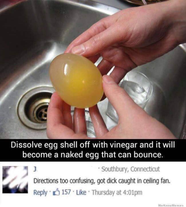 4 Dissolve shell off with vinegar and it will become а naked egg that can bounce. Southbury, Connecticut С Directions too confusing, got dick caught in ceiling fan. Reply 157 Like Thursday at