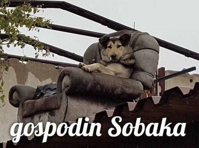 я