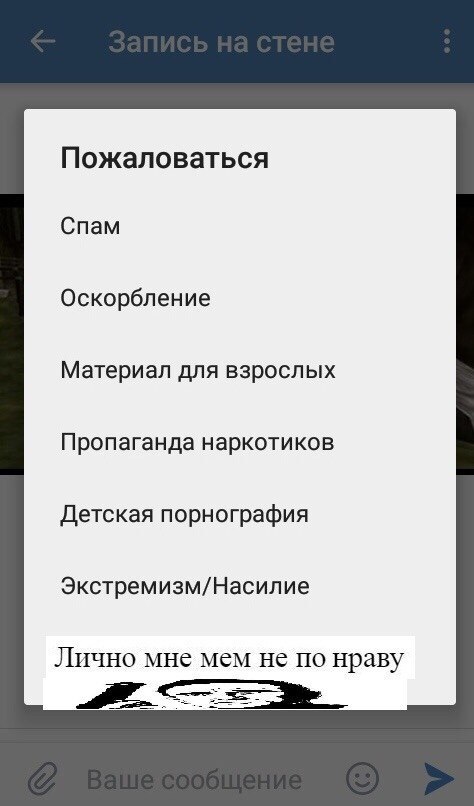 Пожаловаться Спам Оскорбление Материал для взрослых Пропаганда наркотиков Детская порнография Экстремизм/Насилие Лично мне мем не по нраву
