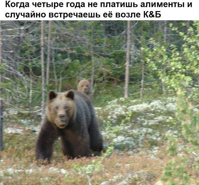 Когда четыре года не платишь алименты и случайно встречаешь её возле at SRT