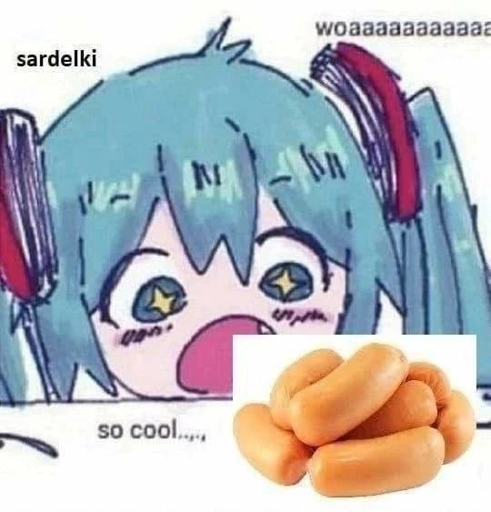 sardelki aN 50 cool