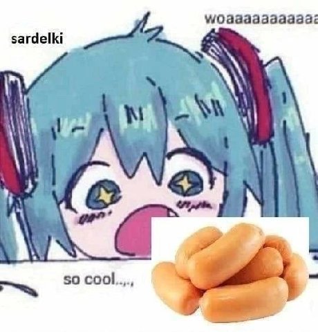 sardelki aN 50 cool