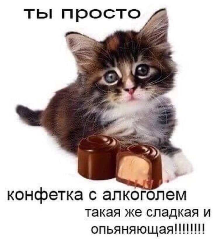 ты просто A конфетка с алкоголем такая же сладкая и
