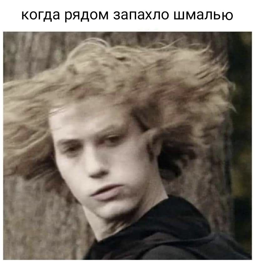 когда рядом запахло шмалью