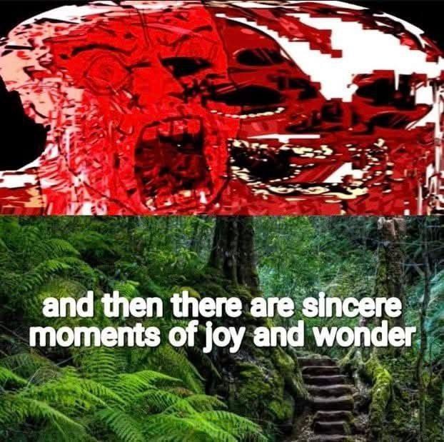 and then there are sincere moments of joy and wonder