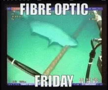 FIBRE OPTIC