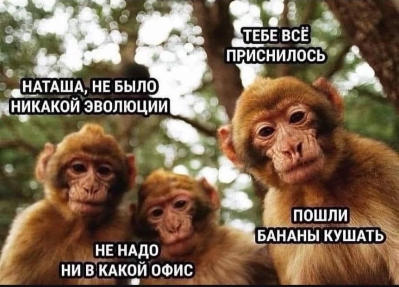 “ТЕБЕ BCE ПРИСНИЛОСЬ «НАТАША, НЕ БЫЛО «НИКАКОЙ ЭВОЛЮЦИИ 4 ПОШЛИ КУШАТЬ НЕ НАДО НИ В КАКОЙ ОФИС