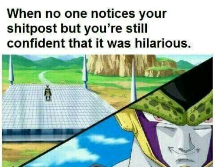 When по one notices your shitpost but you’re still confident that it was hilarious.