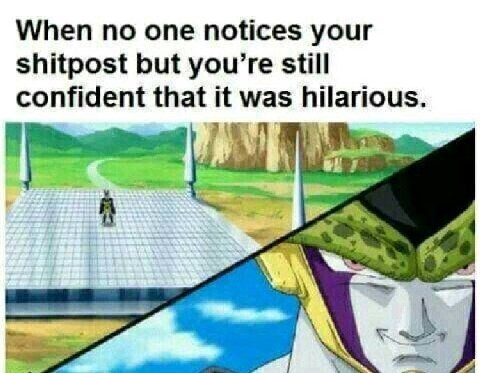 When по one notices your shitpost but you’re still confident that it was hilarious.