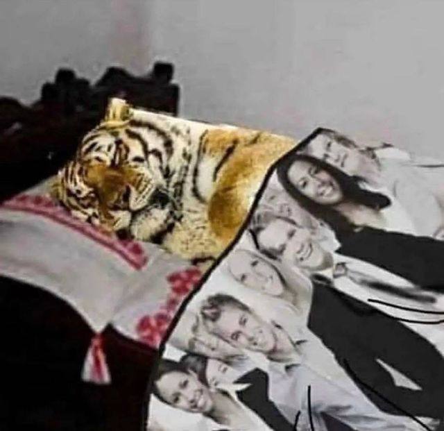 4 ‚4 к А