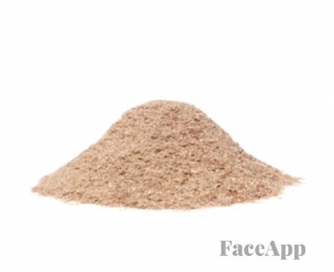 FaceApp