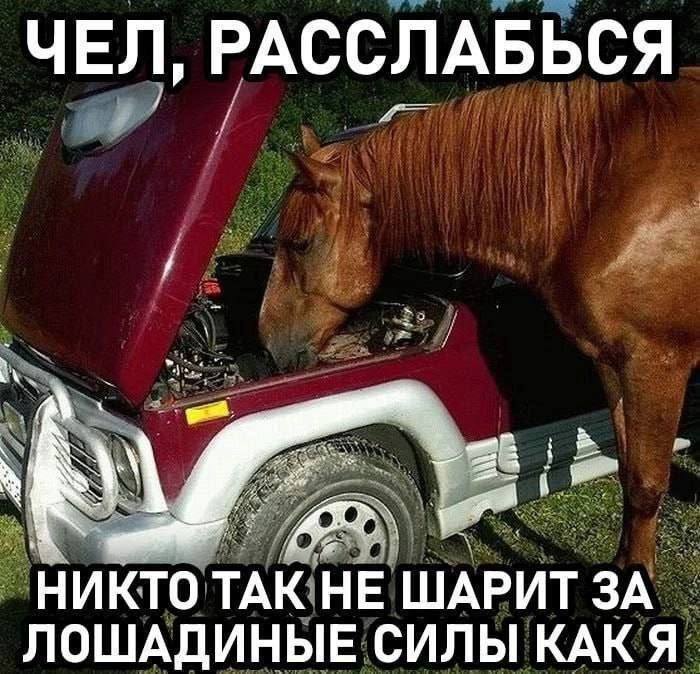 ЧЕЛ, РАССЛАБЬСЯ НИКТО ТАК НЕ ШАРИТ ЗА ЛОШАДИНЫЕ СИЛЫ КАК Я