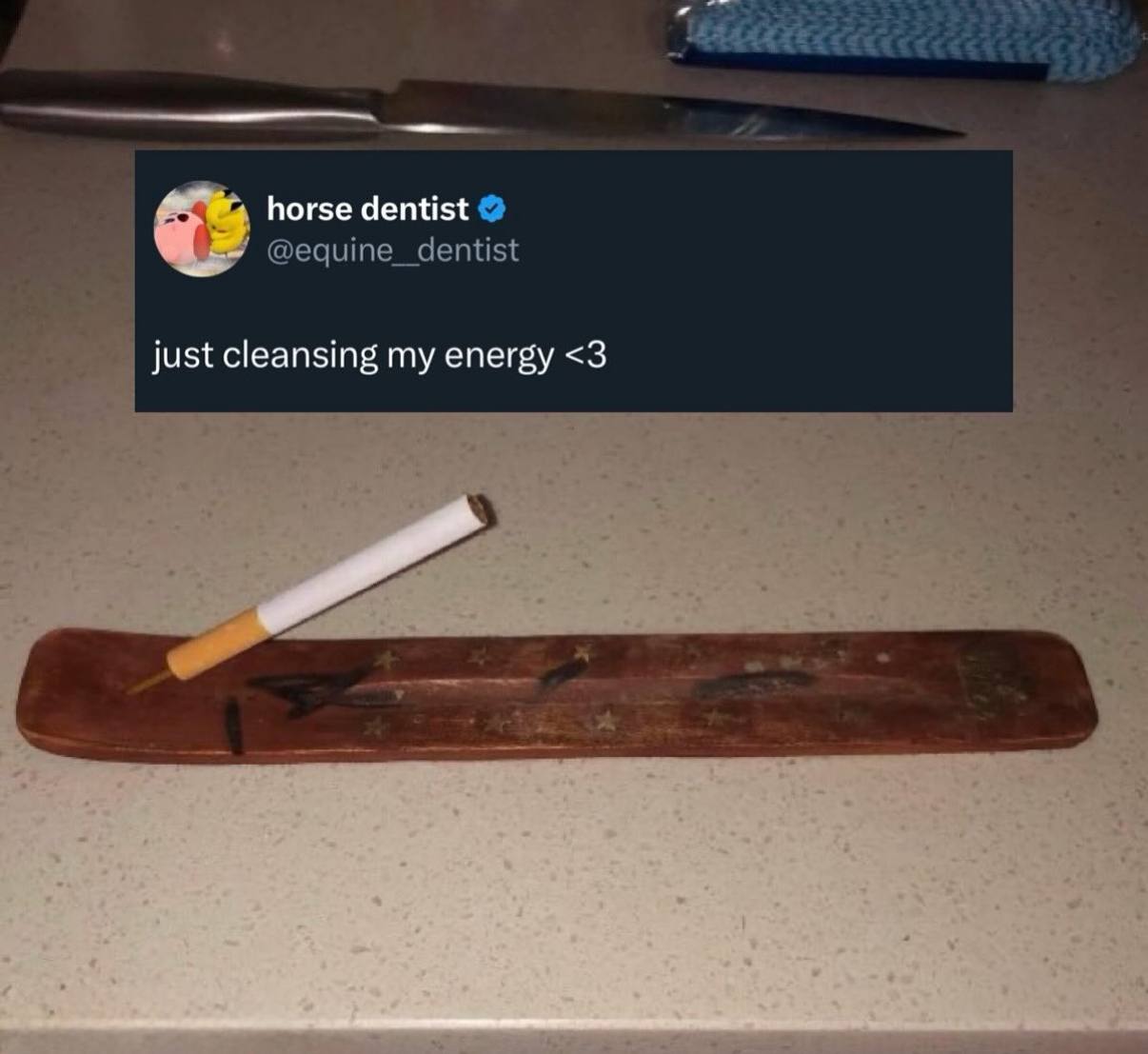 horse dentist @equine_dentist just cleansing my energy <3