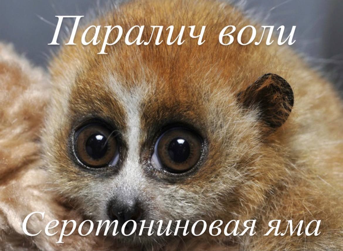 Паралич воли яма