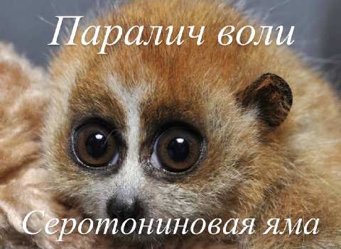 Паралич воли яма