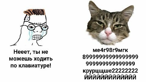 Нееет, ты He ме4г98г9мгк 89999999999999999 можешь ходить 999999999999999 по клавиатуре! крурцщше22222222 ИИИИИИИИИИИИИ