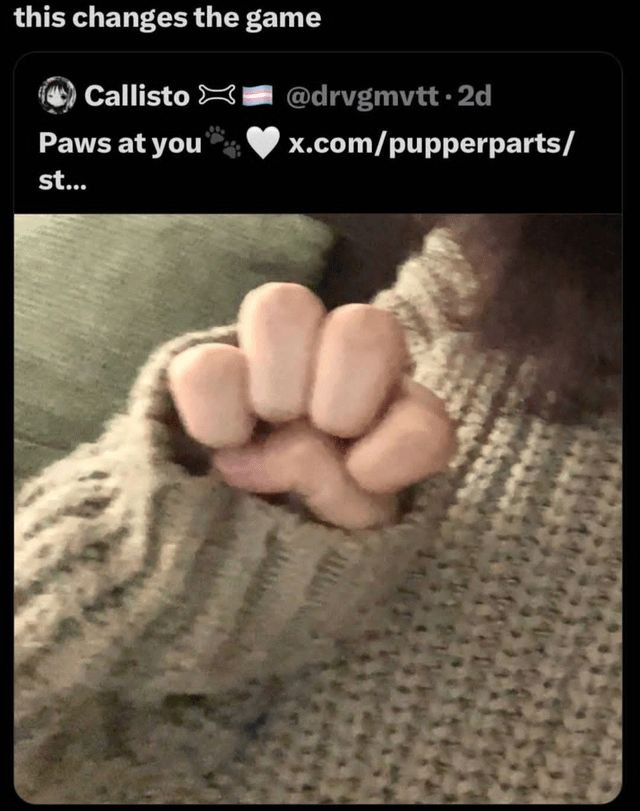 this changes the game Callisto a Paws at you x.com/pupperparts/