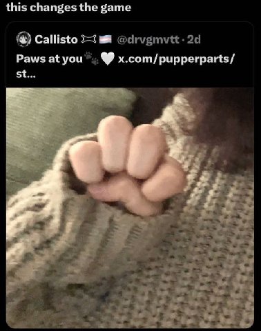 this changes the game Callisto a Paws at you x.com/pupperparts/