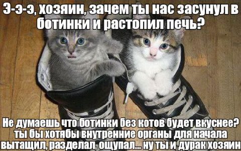 ХОЗЯИН, Зачем ты нас засунул в ботинки и растопил печь? 4 Не думаешь что ботинки без котов будет вкуснее? ты бы хотябы внутренние органы для|Начала вытащил, разделал, ощупал... дурак хозяин