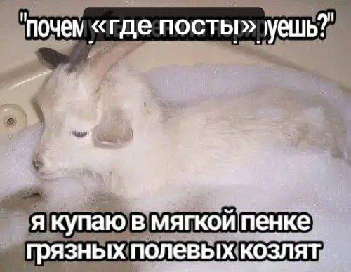 «где посты» уешь? я купаю в грязных полевых козлят.