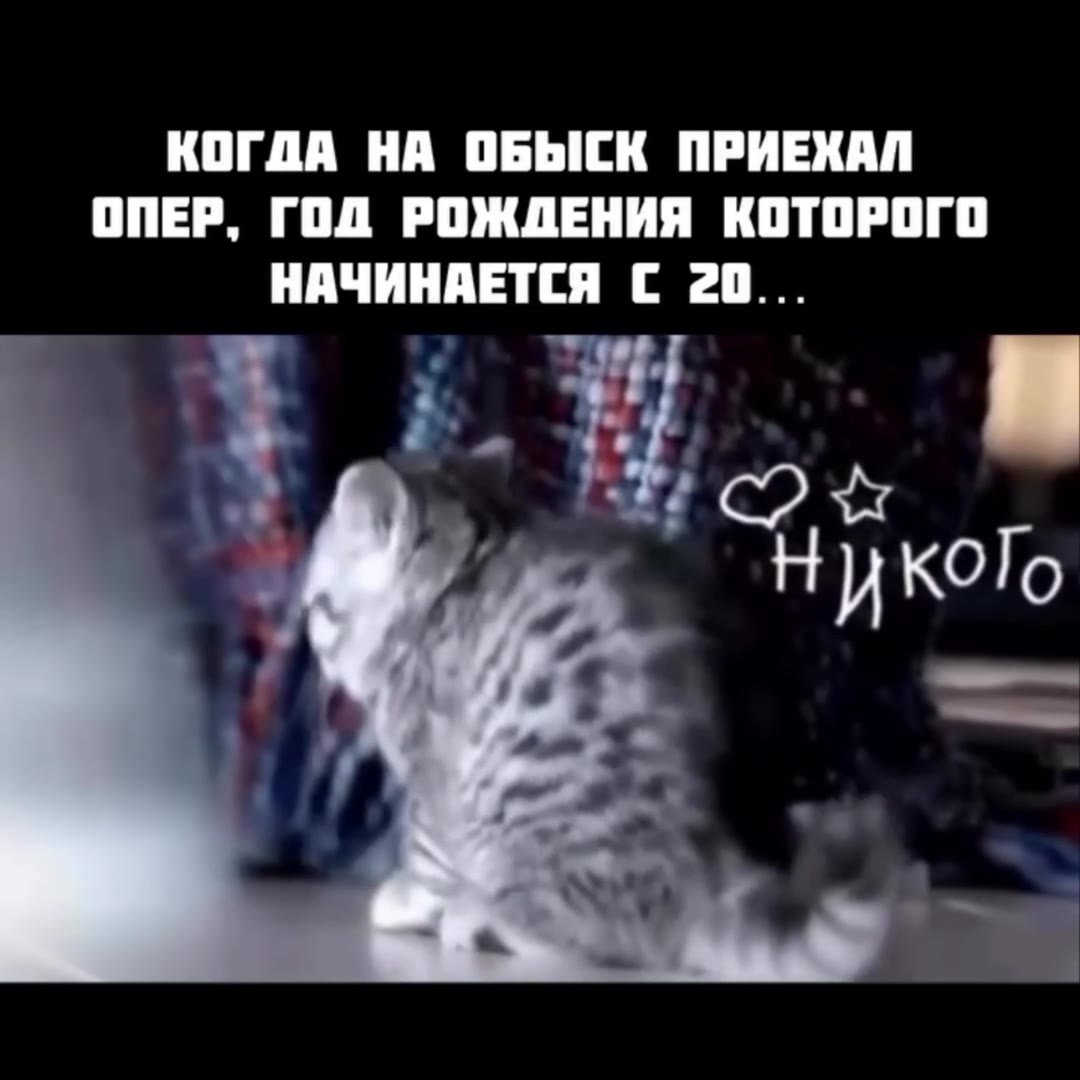 КОГДА НА ОБЫСК ПРИЕХАЛ ОПЕР, ГОД РОЖДЕНИЯ КОТОРОГО