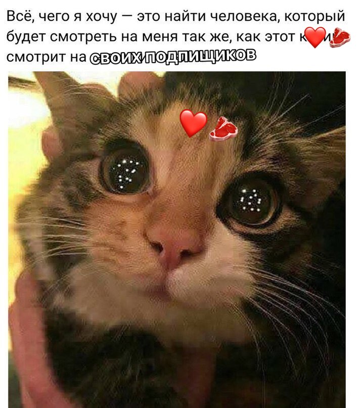Всё, чего я хочу это найти человека, который будет смотреть на меня так же, как этот смотрит на